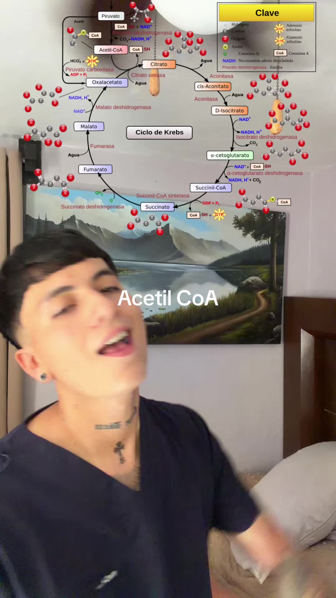 @ENDOBOY