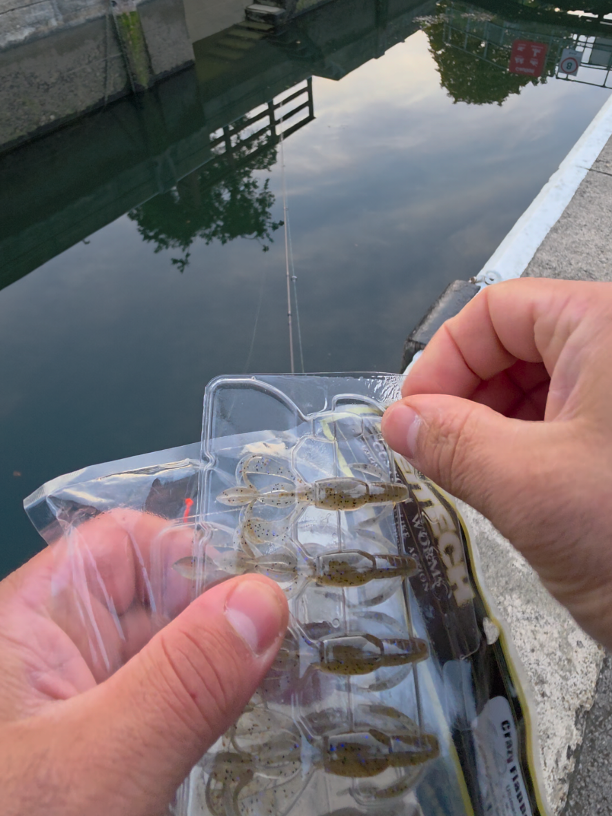 @BF Angler