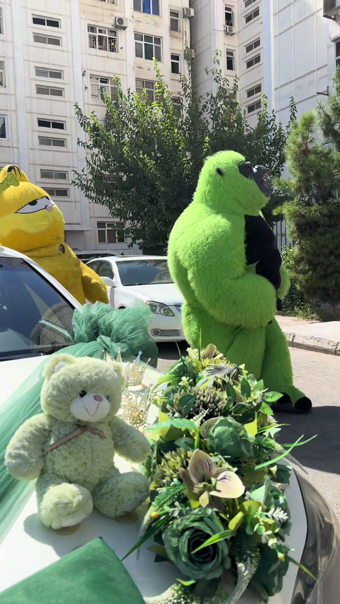 @Ynamly Mişkalar🦍🐼