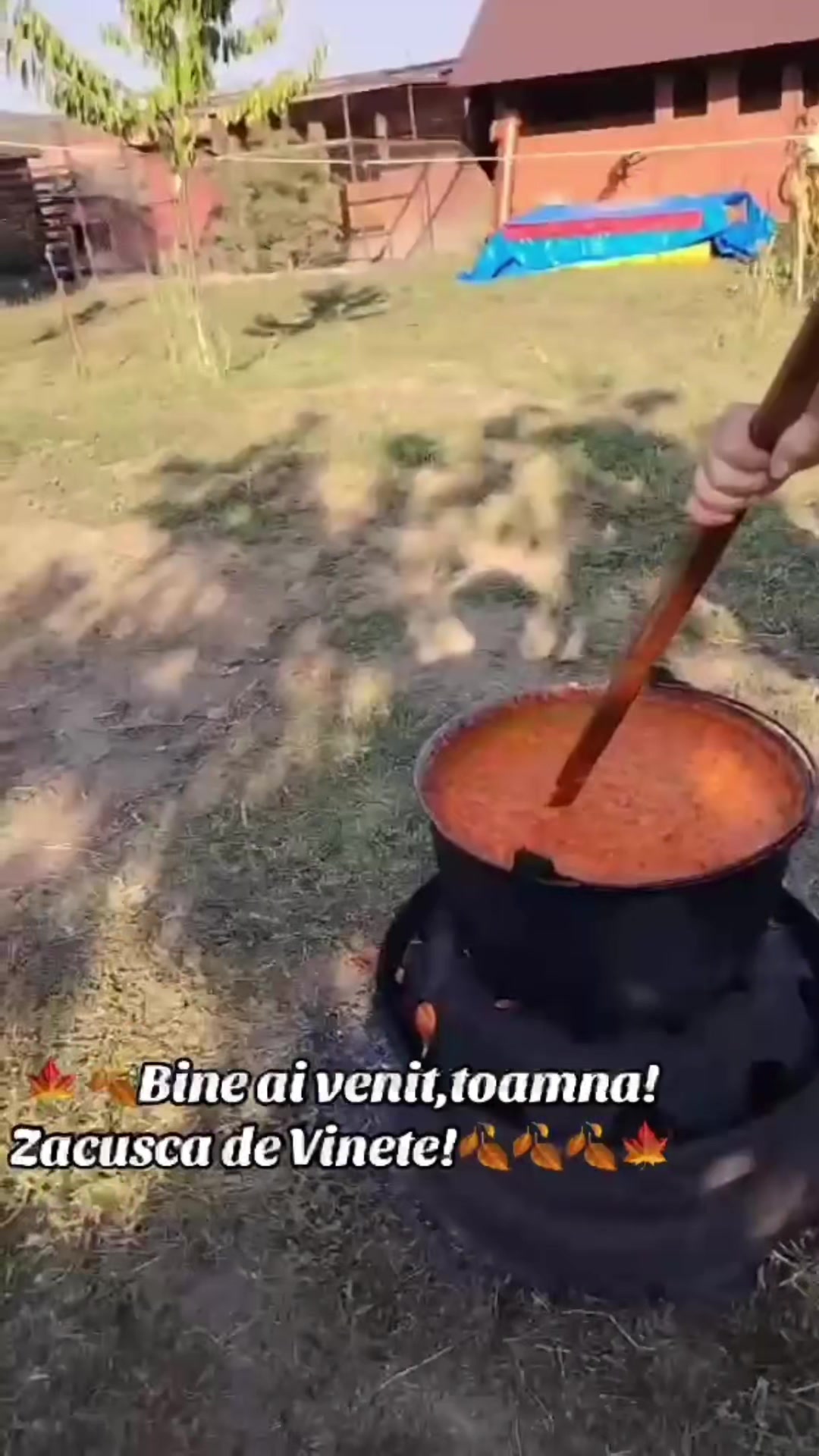 @Catrinuta Magazin Romanesc