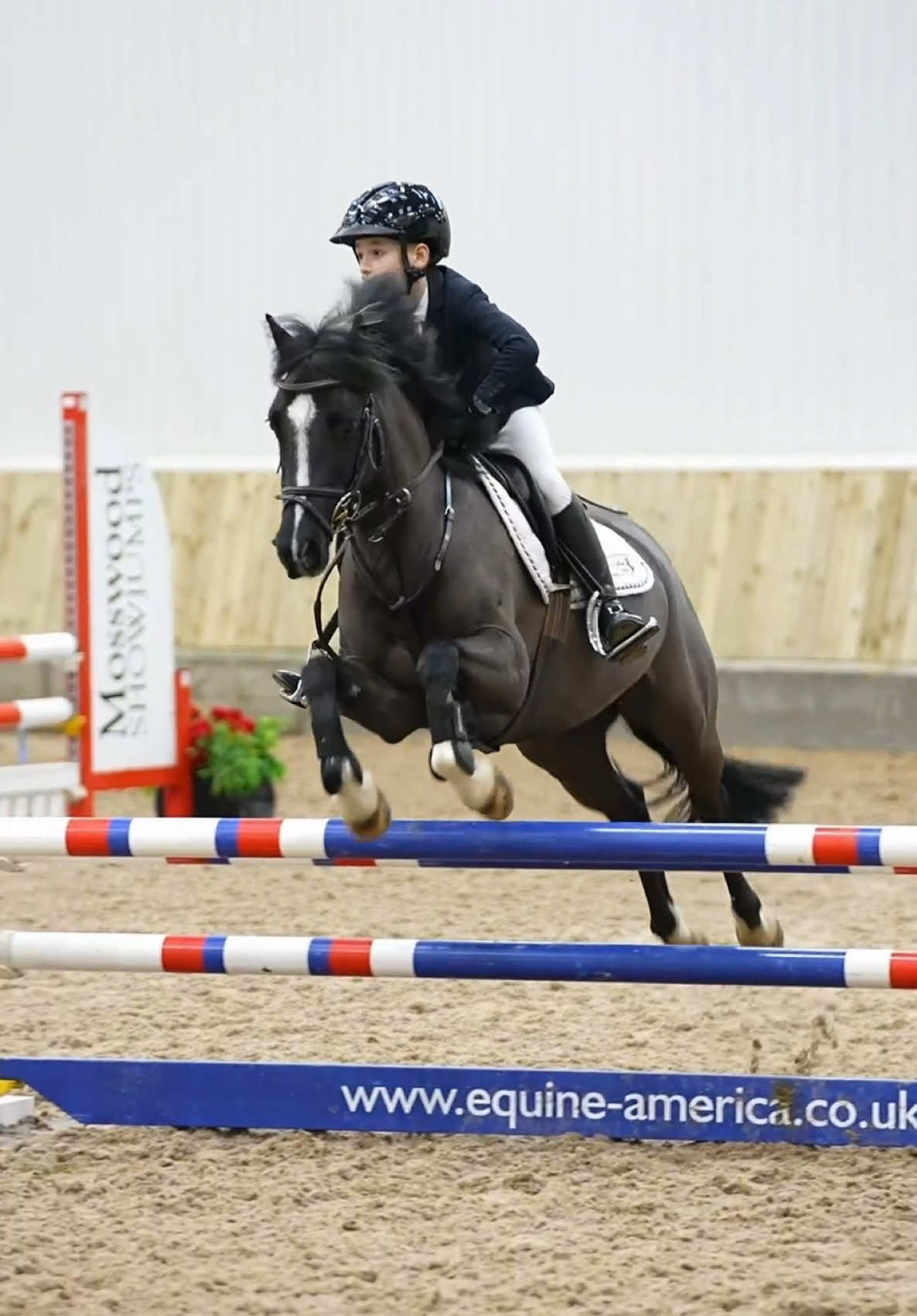 @HorseQuest - Horses for Sale