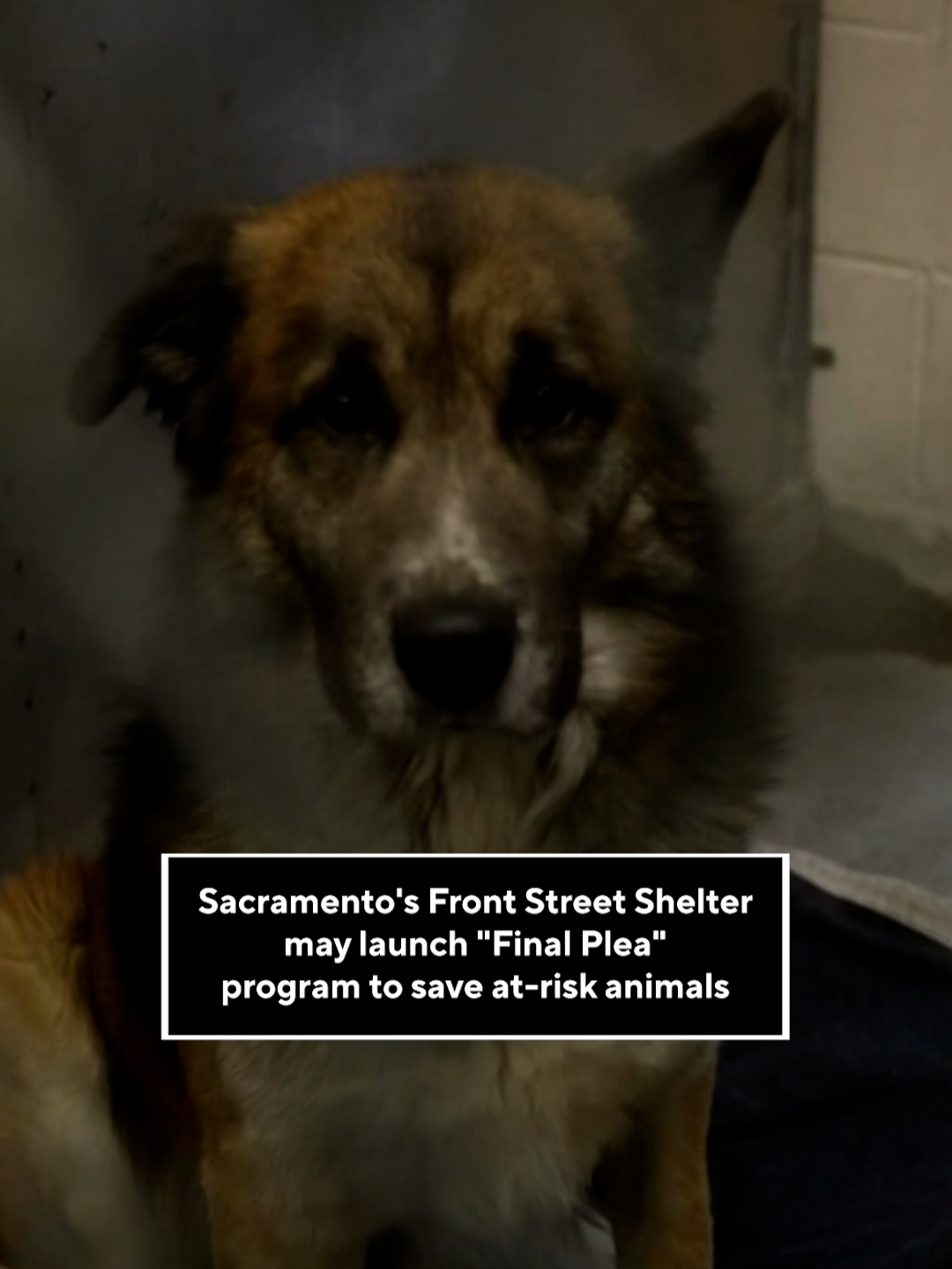 @CBS Sacramento