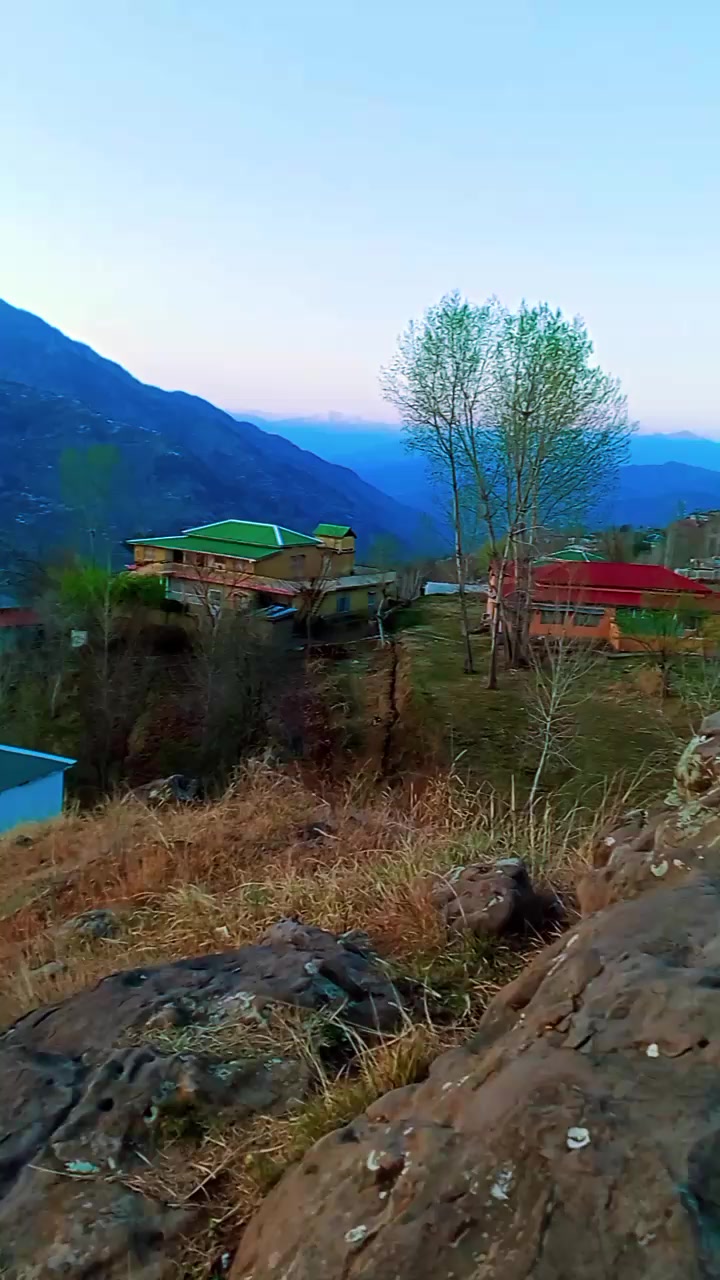 @SabaAbbasi