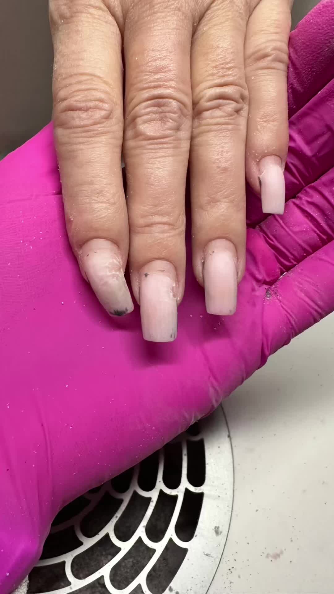@venustas.ch