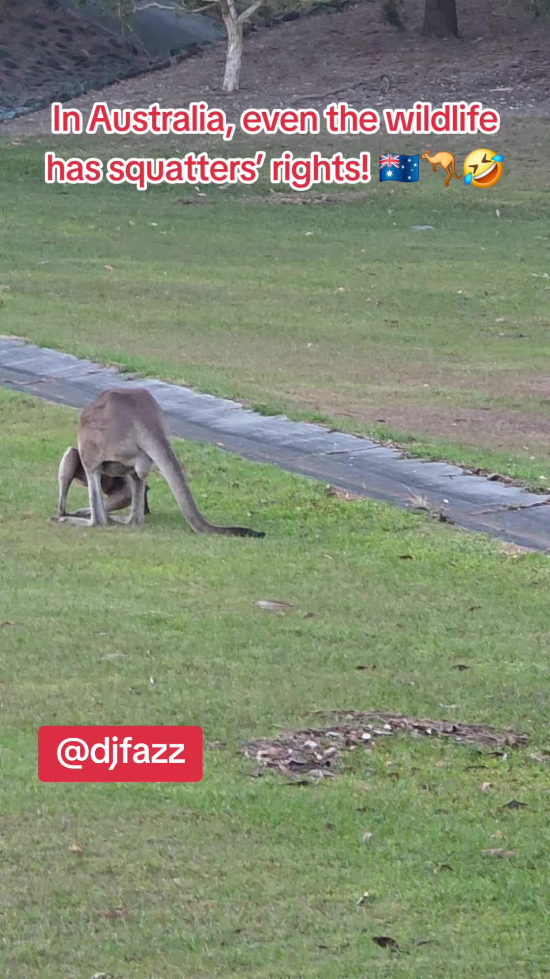 @DJFAZZ 🇳🇬🇦🇺🇫🇮🇬🇲