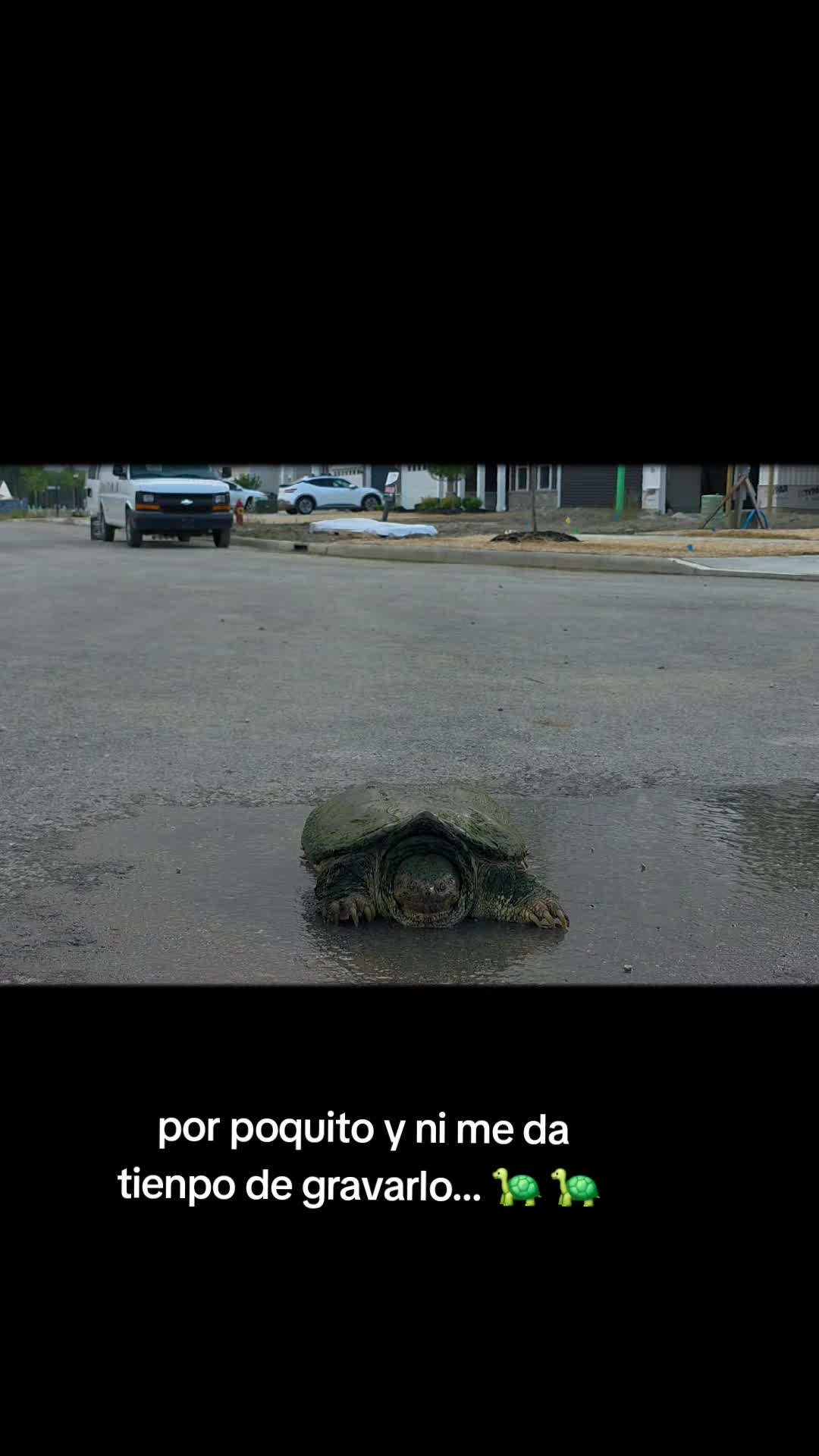 @ruma