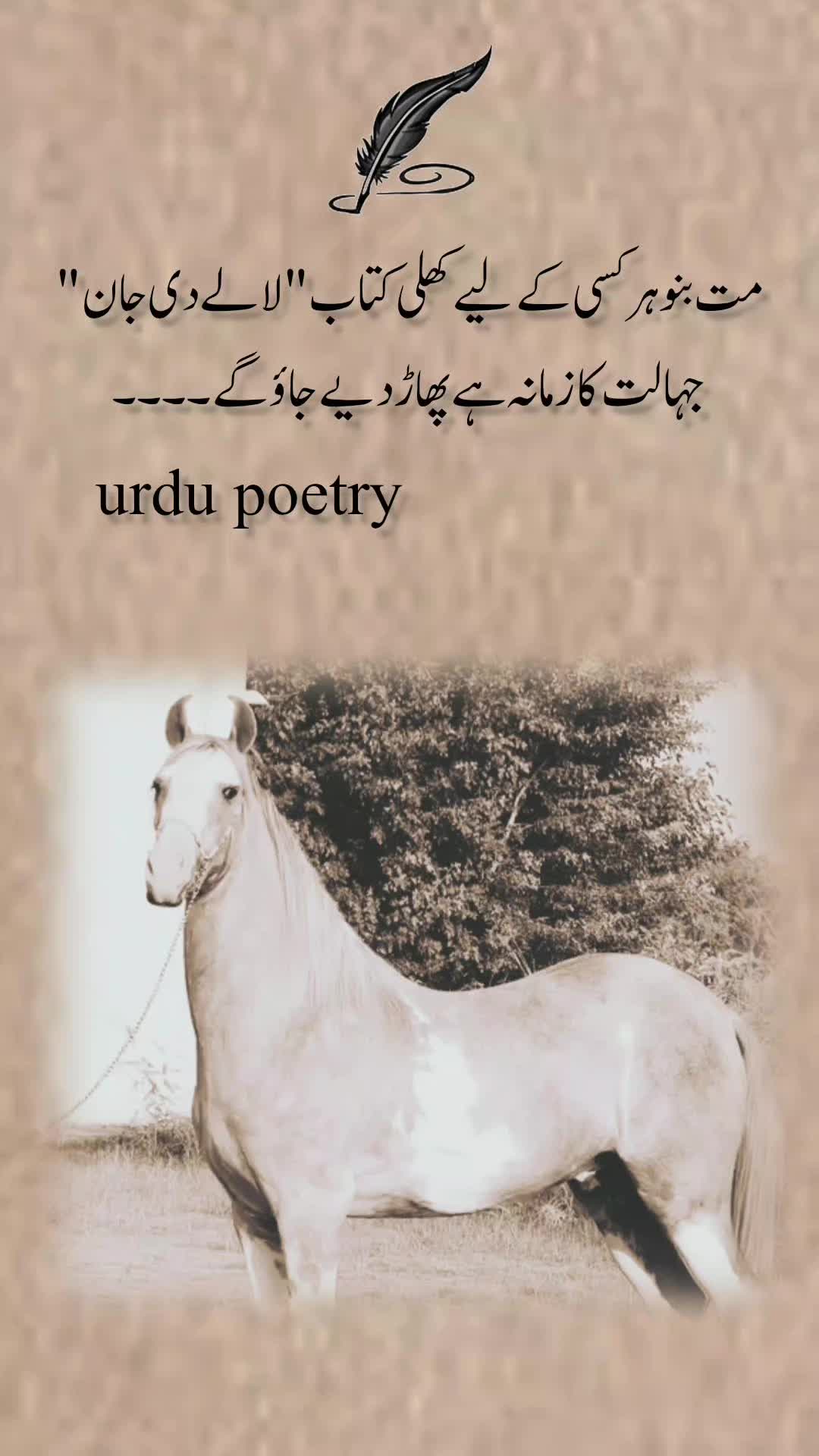 @Urdu poetry🇵🇰🇬🇷