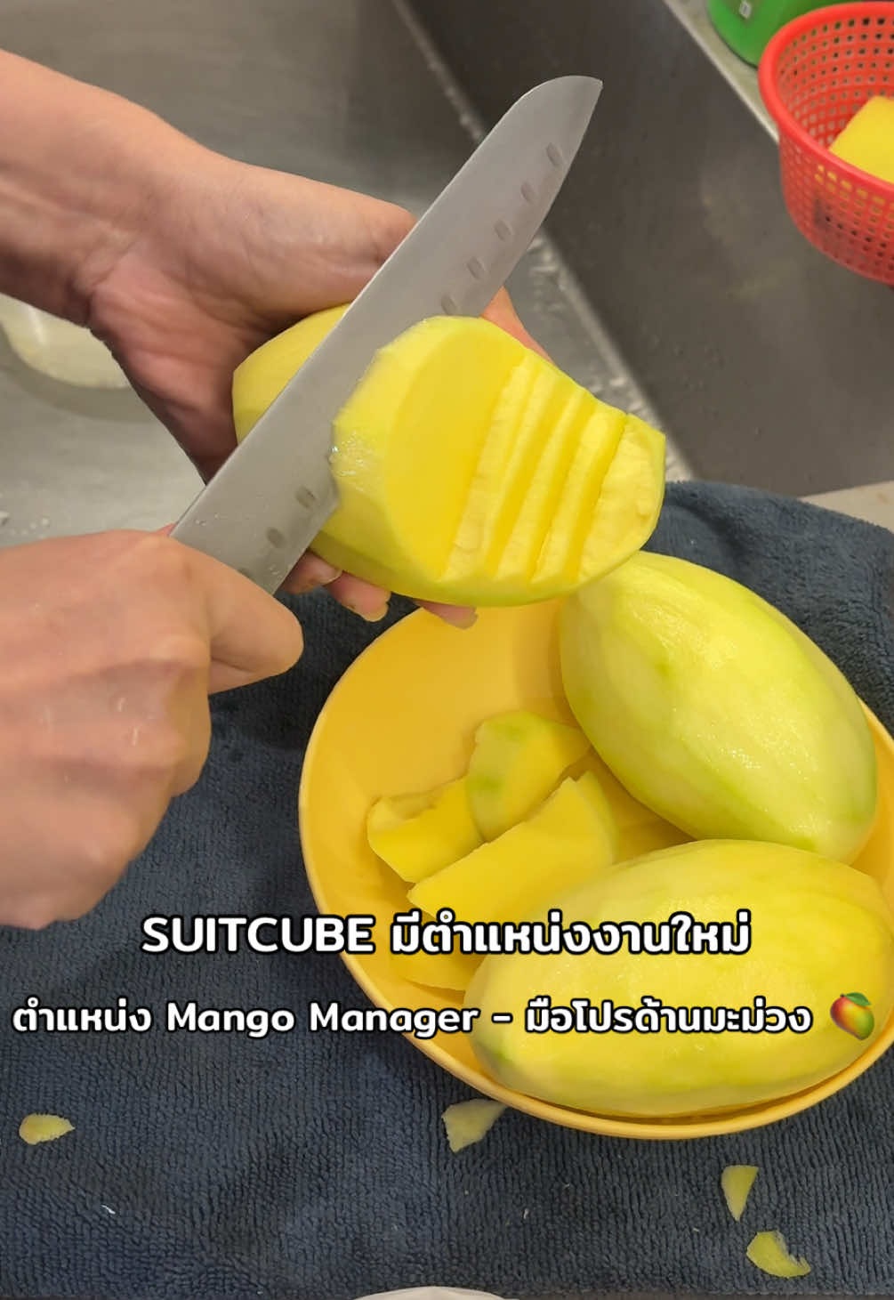 @Suitcube Career