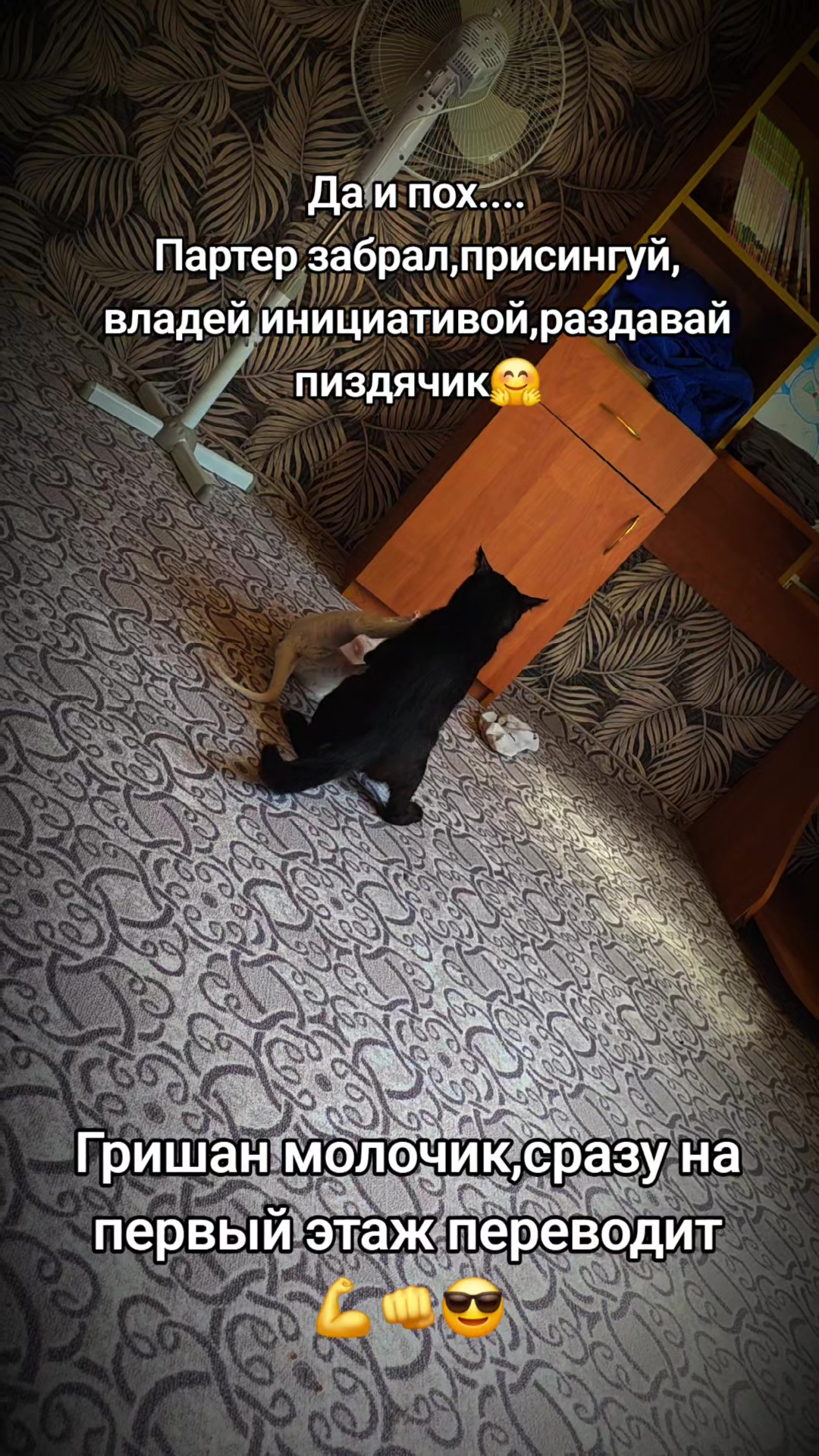 @Возничий BRO