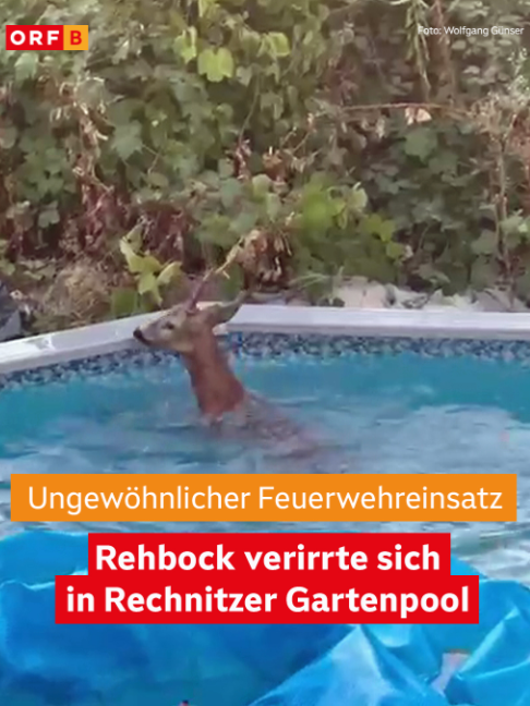 @orfburgenland