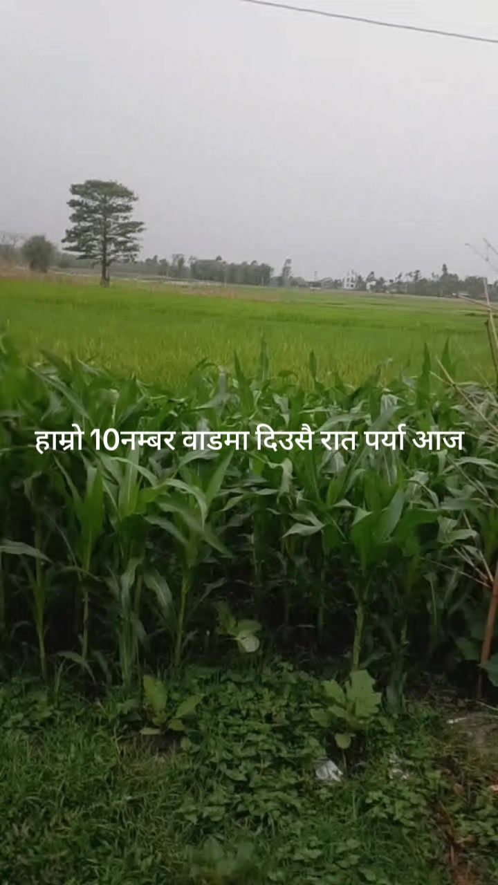 @कमला💝mahat❣️
