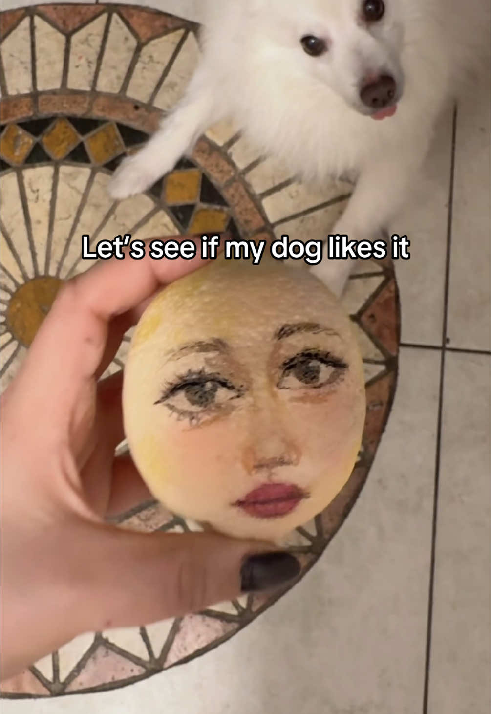 @surrealart_noa