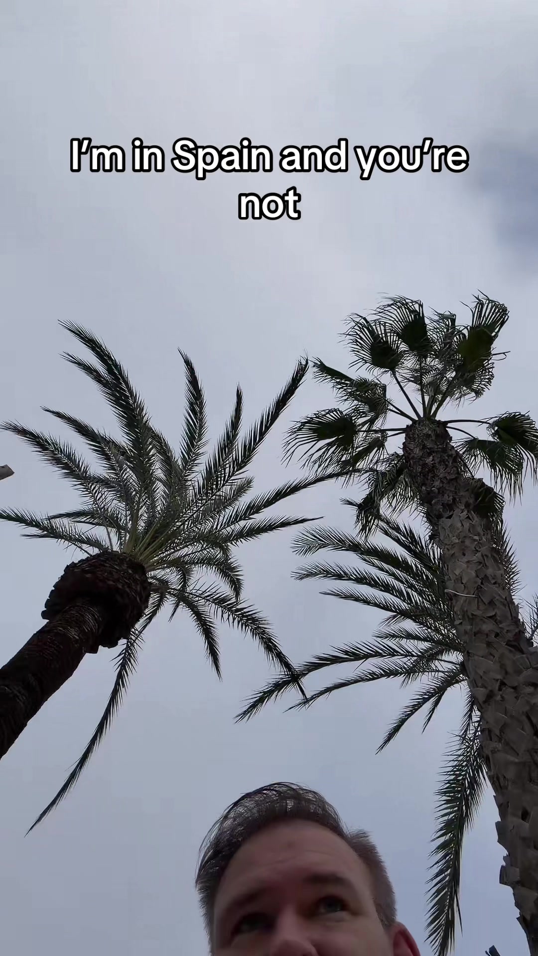 @Daddy_Dan