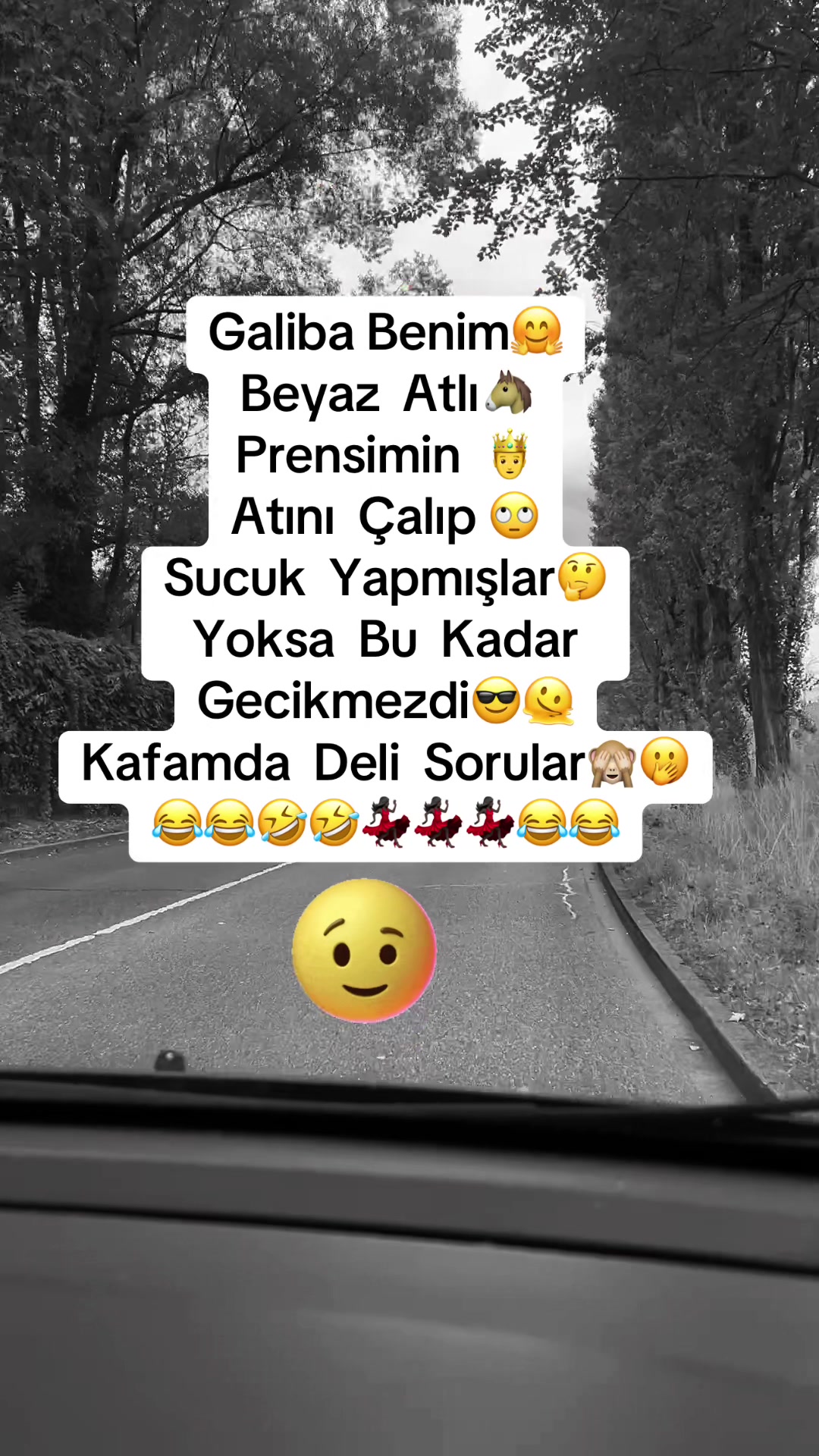 @✨🤍Ayliz_S🤍✨