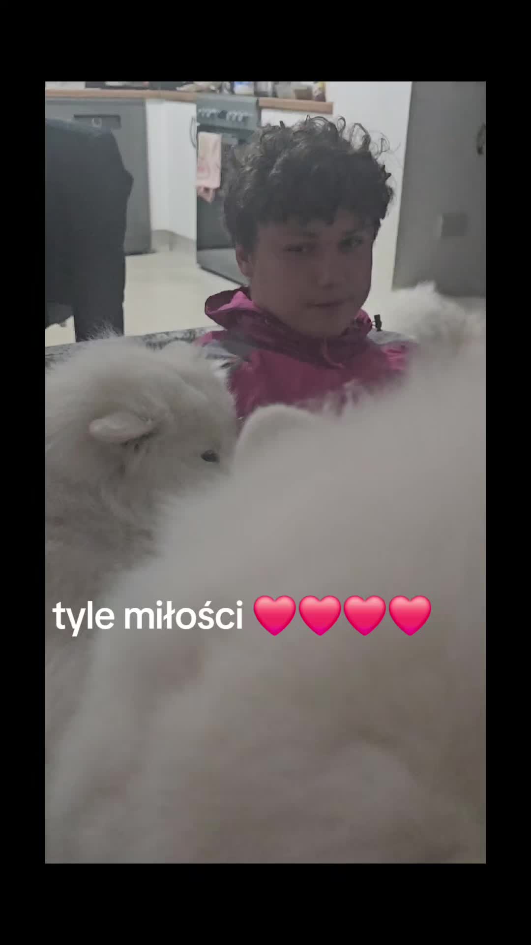 @Samojedowe🐶🇵🇱love🇬🇧