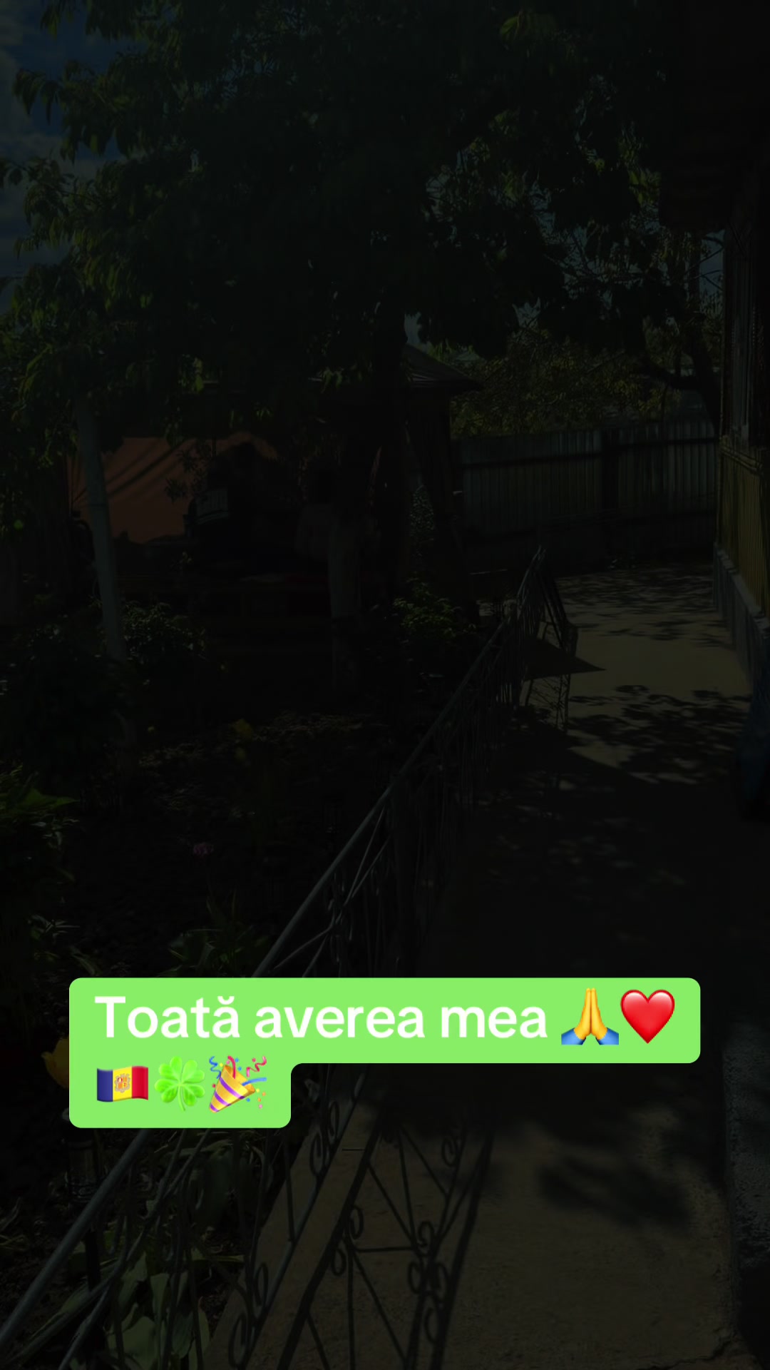 @FeliciaMoldoveanca77