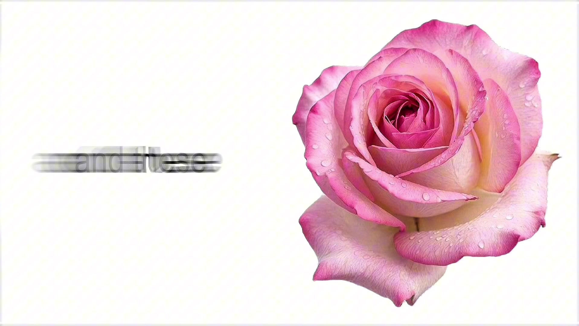 @dzhei ๐ป