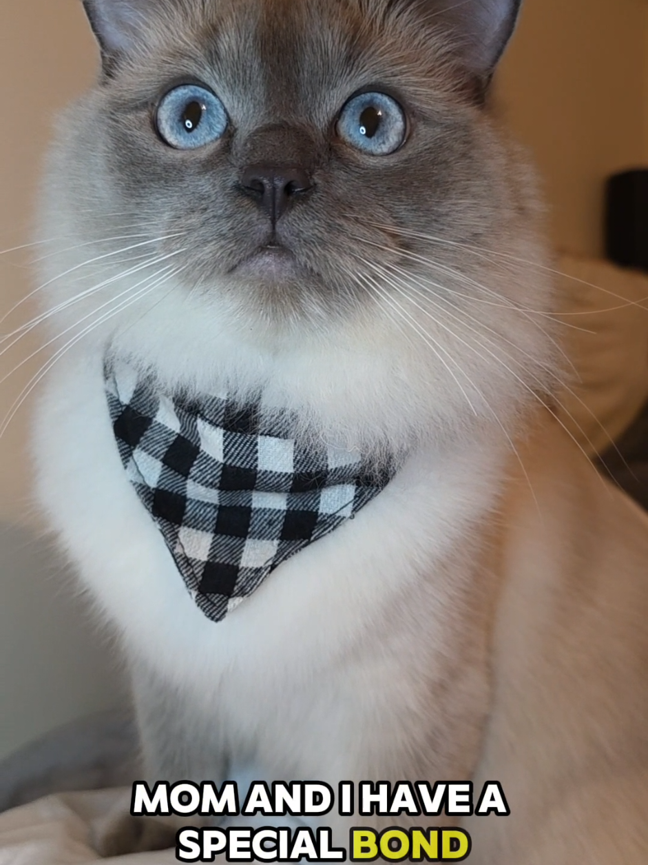 @DailyDoseOfBlu💙
