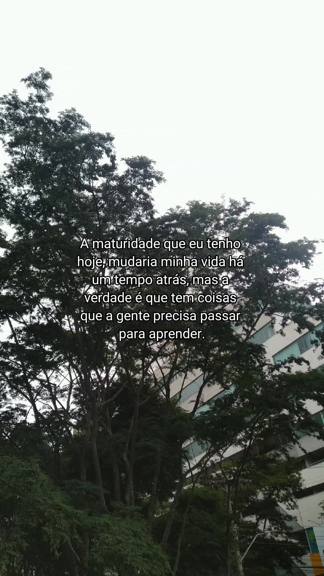 @Paola Rosa