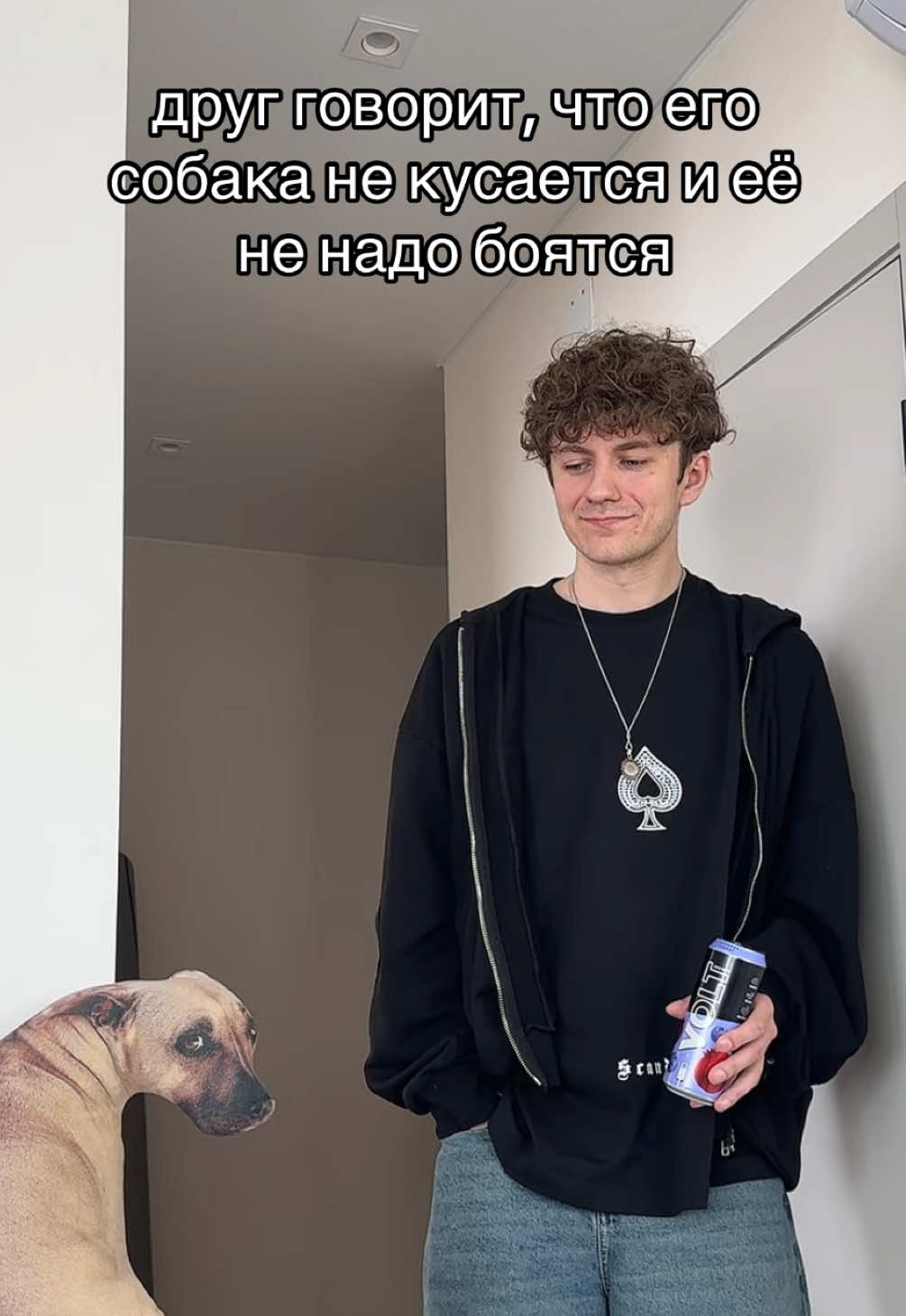 @DOLINOV