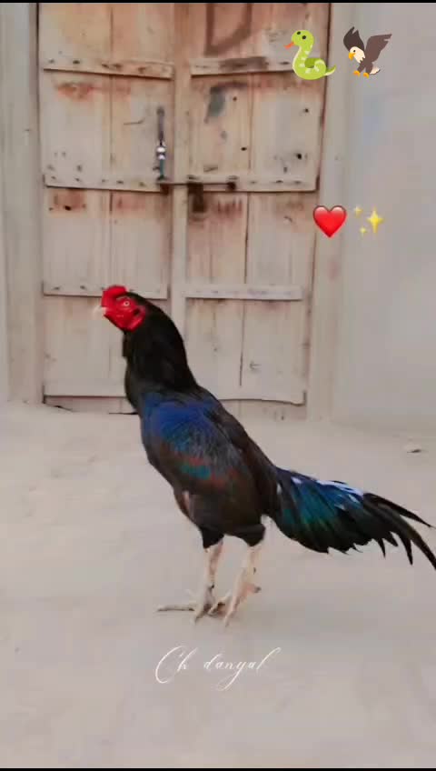 @عظیم سھو کہتے ہیں