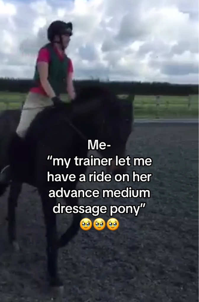 @poniesaremylegs_official