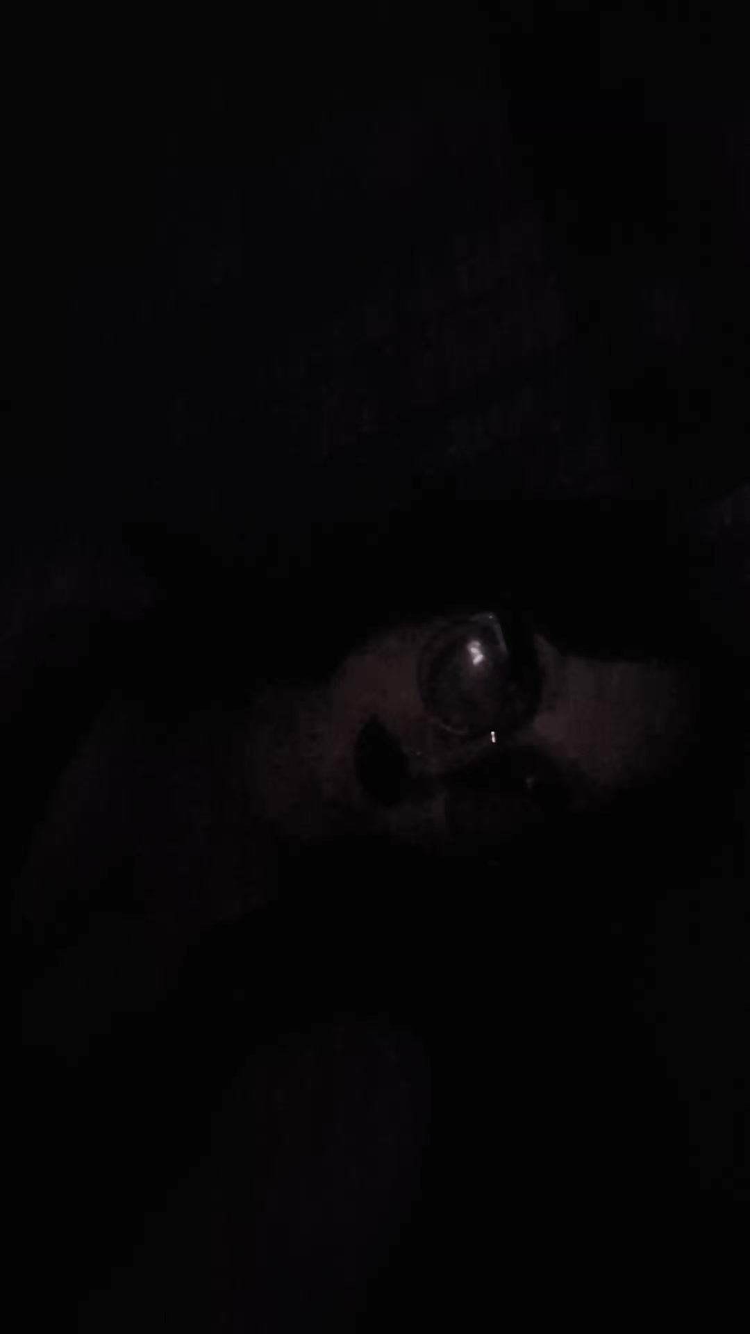 @Lilya<3