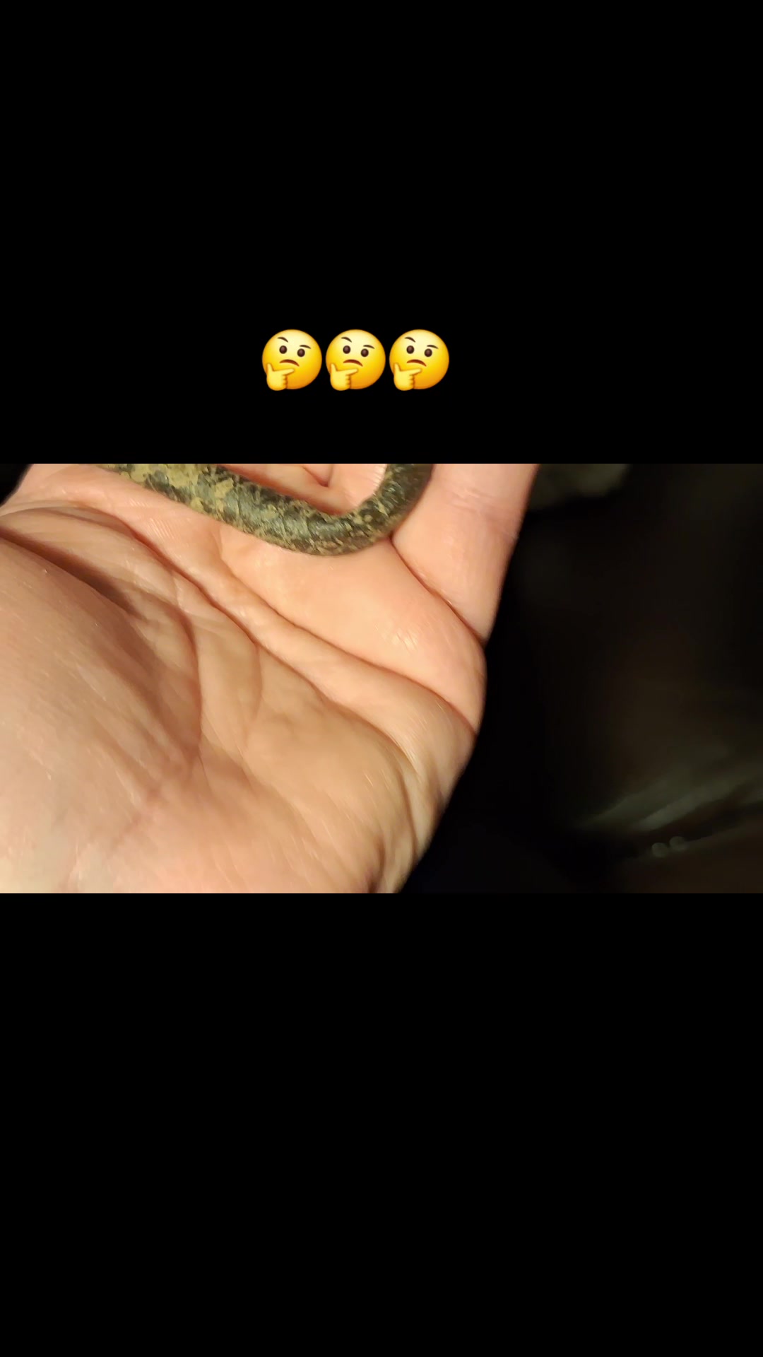 @nippyzippy