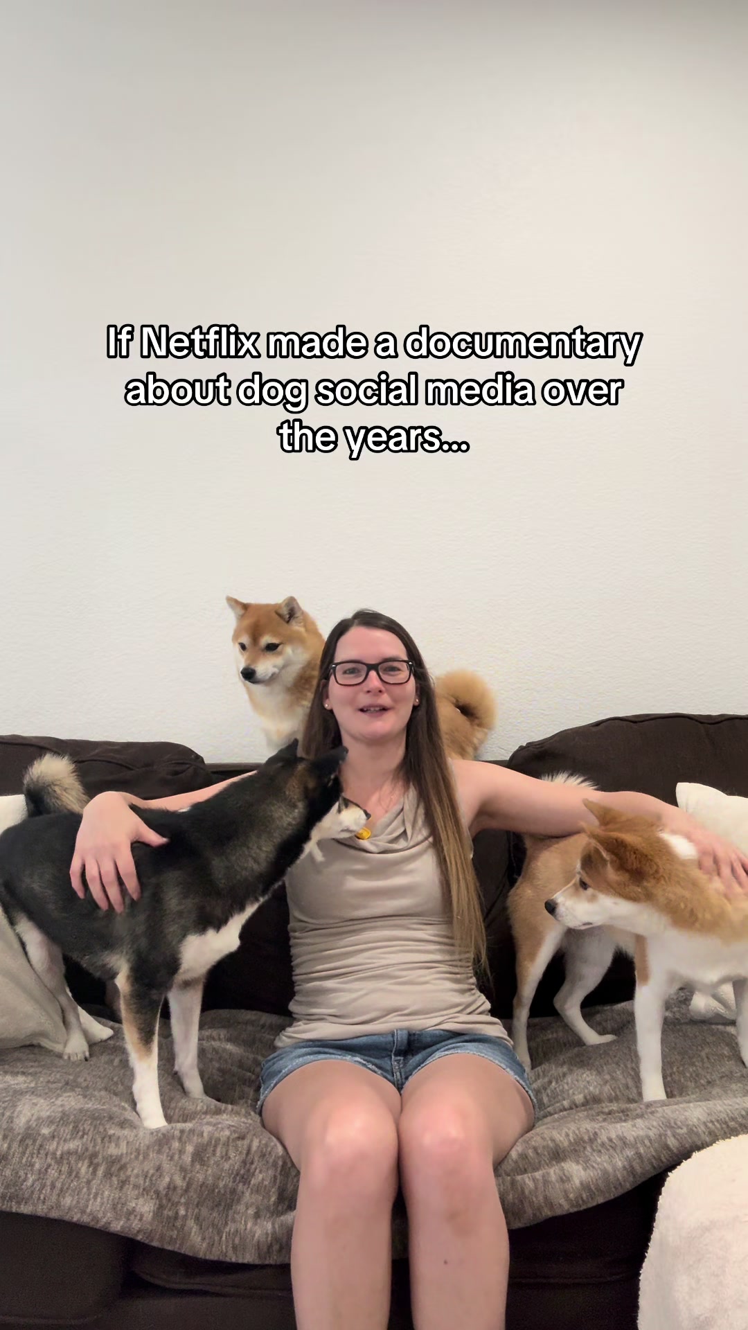 @Flock of Shibas 🐕🐕🐕