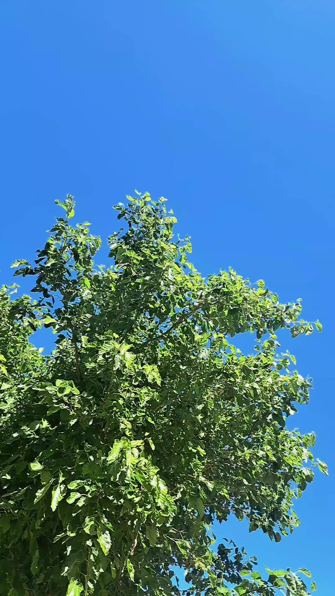 @فتاة 😍❤️