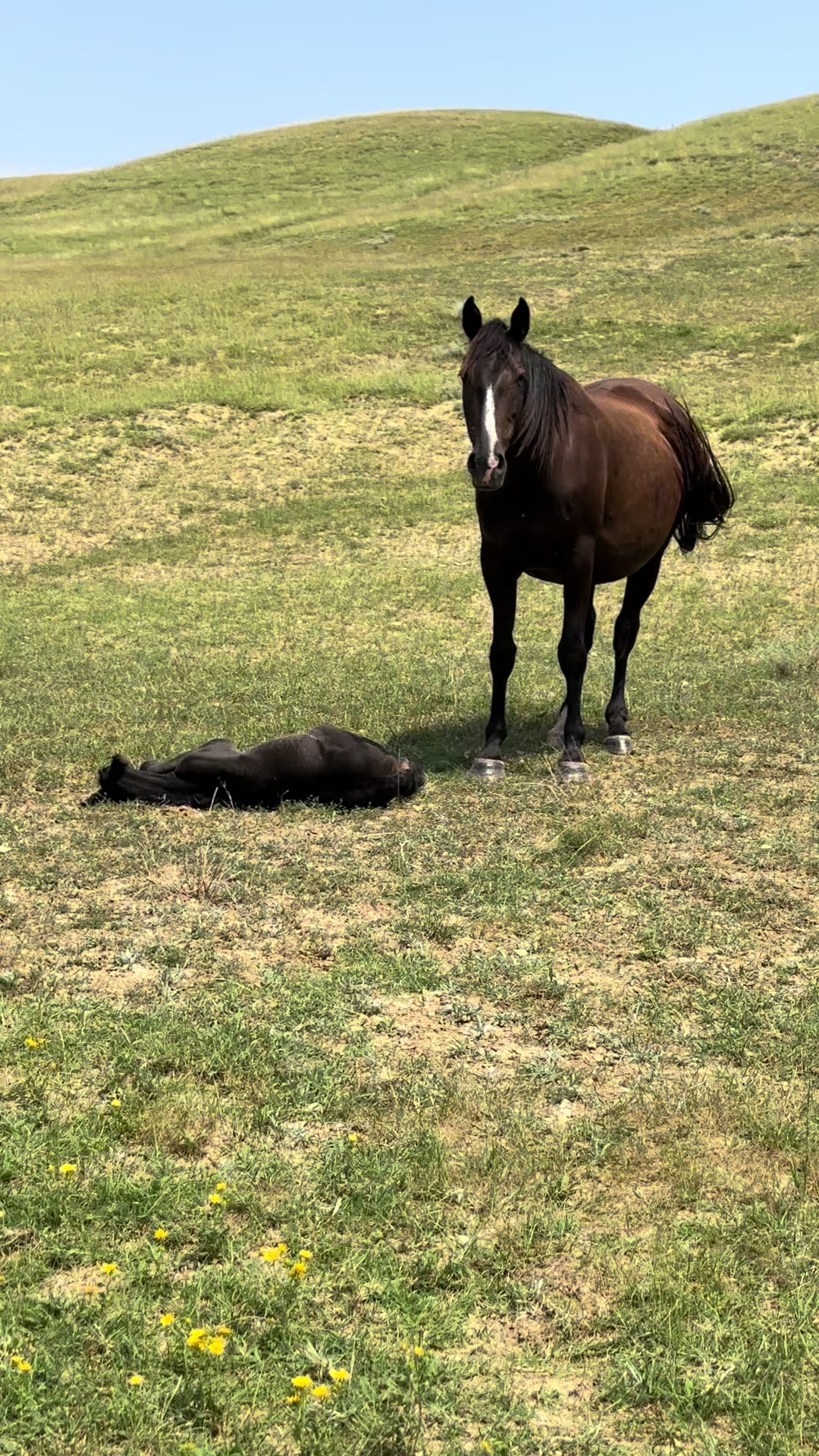 @MakvinStud