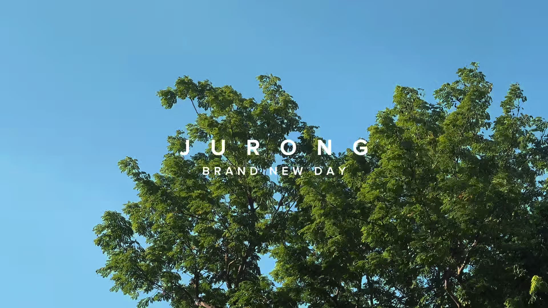 @𝐖𝐚𝐧𝐠𝐚𝐧 𝐁𝐫𝐲𝐚𝐧