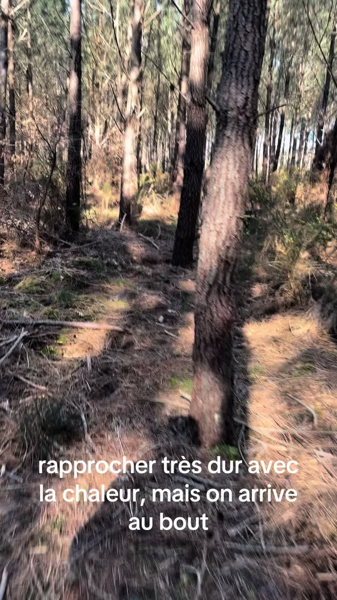 @desterresdejossaume