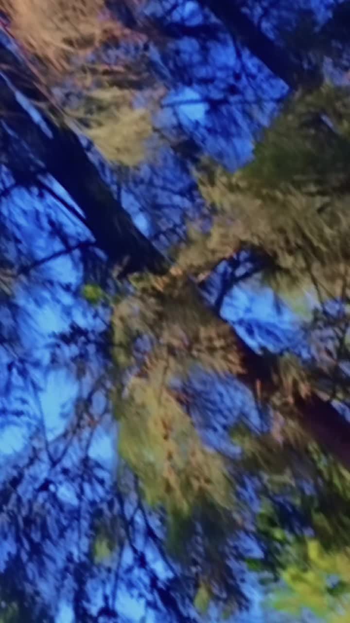 @NI💓SH✝️A🌲