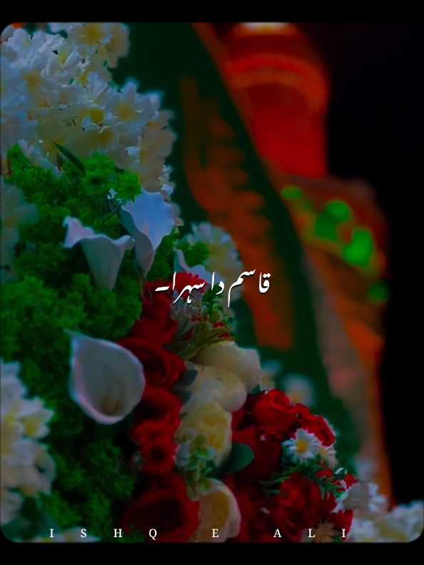 @𝙄𝙎𝙃𝙌 𝙀 𝘼𝙇𝙄 🙌🏻🚩
