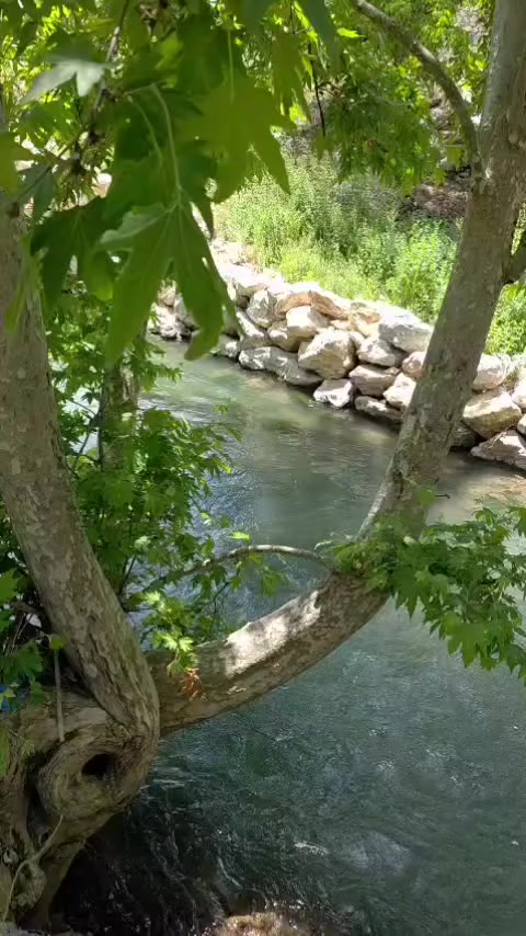 @Emrah &Ccedil;evik