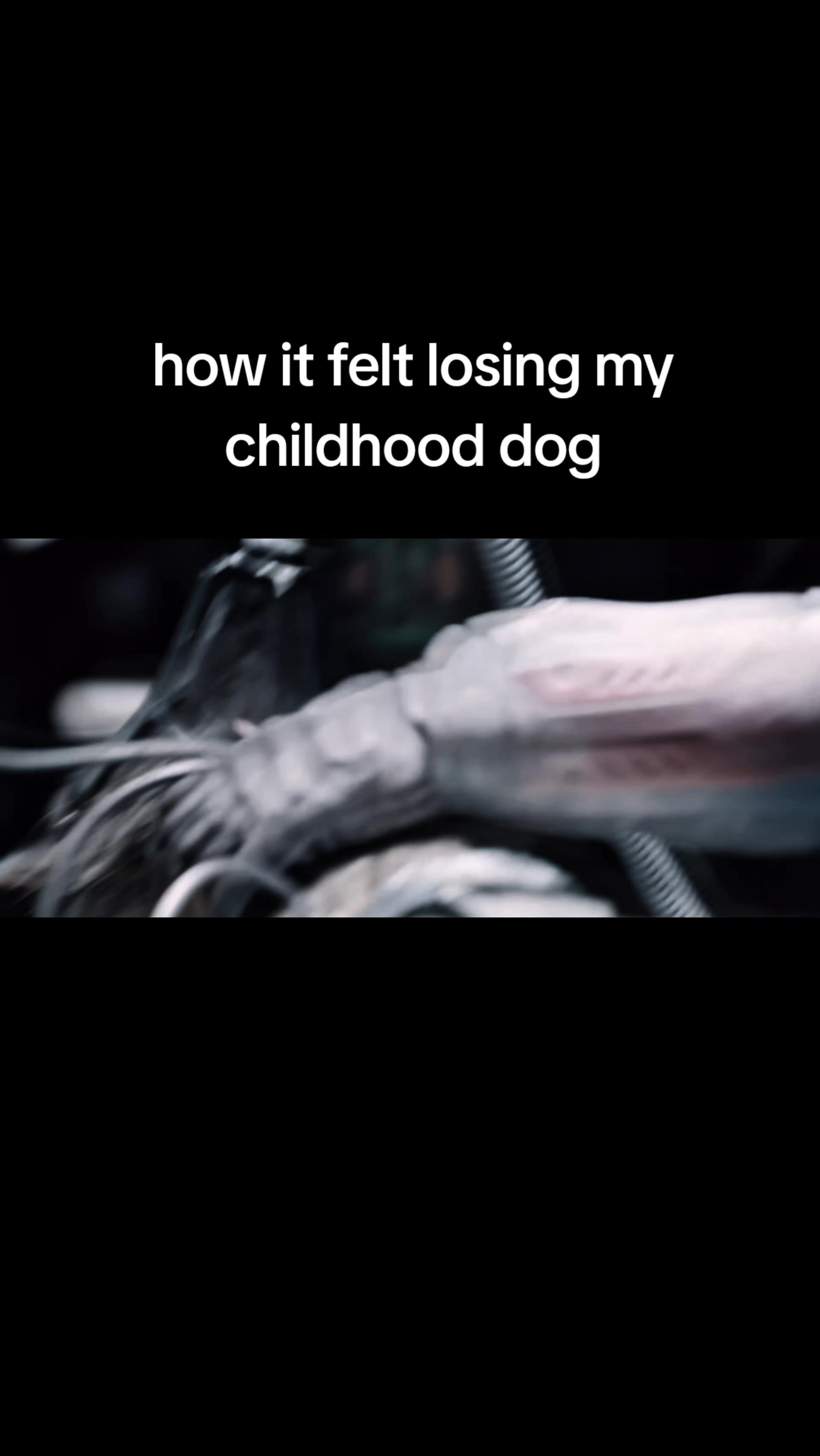 @shaun coleman