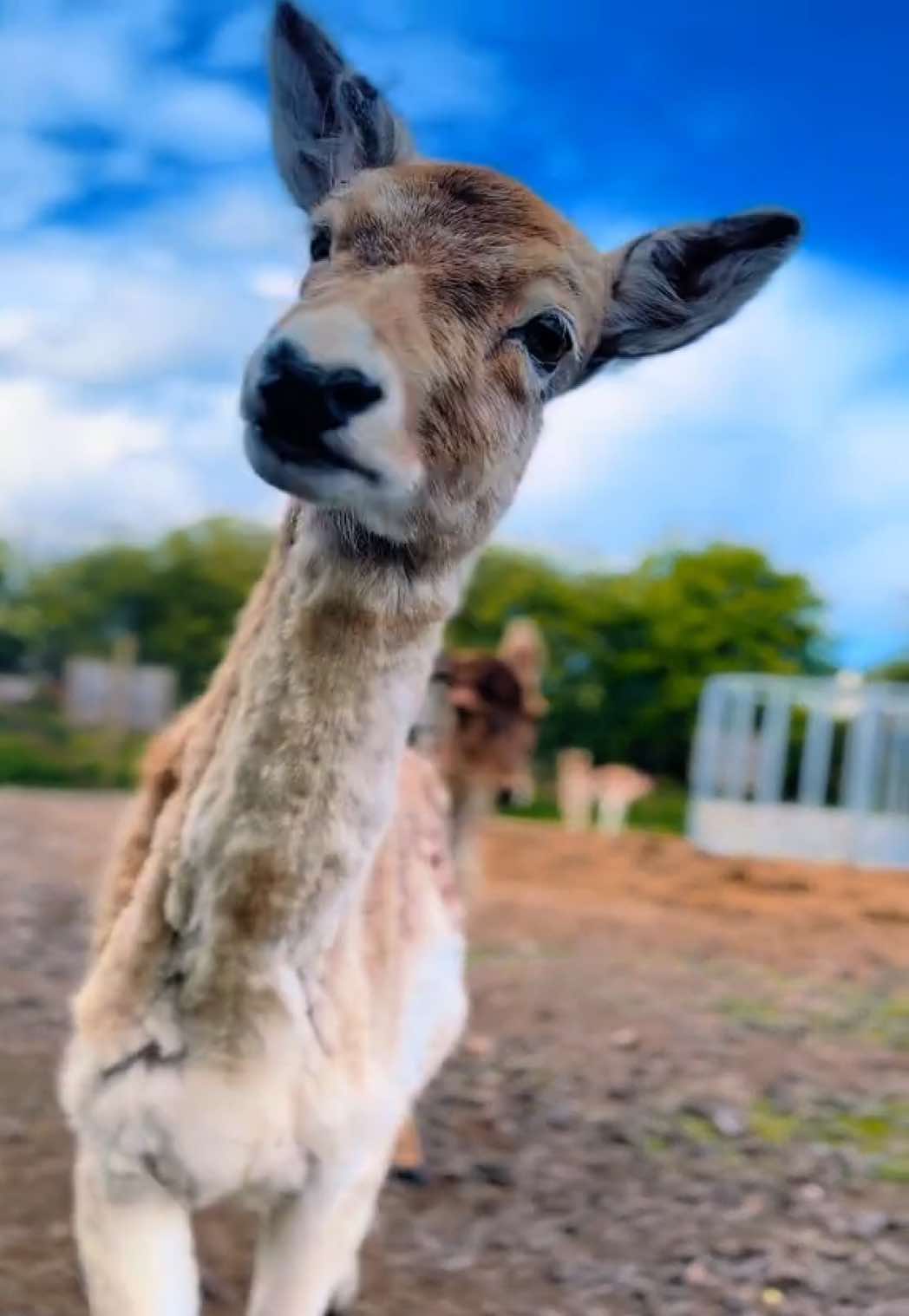 @thebeautyofscotland17