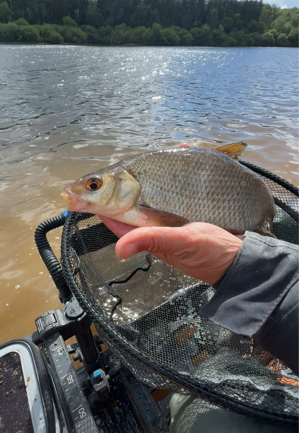 @Tackle Guru
