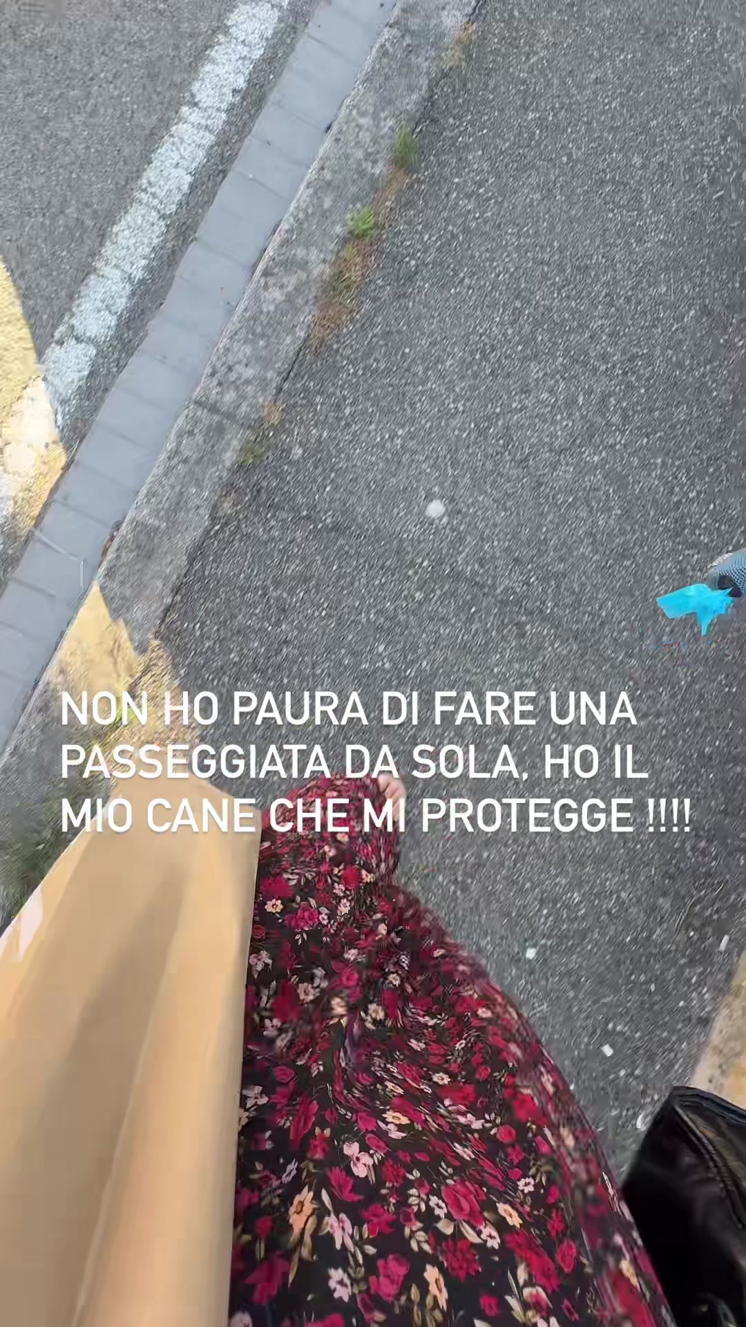 @Gloria Di Pasquale