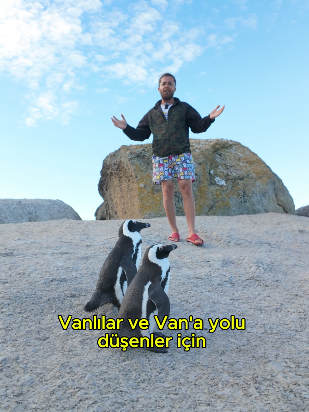@Soner Şeylan
