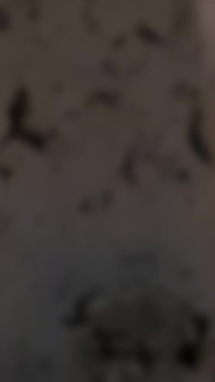 @خطاب ال ذنون