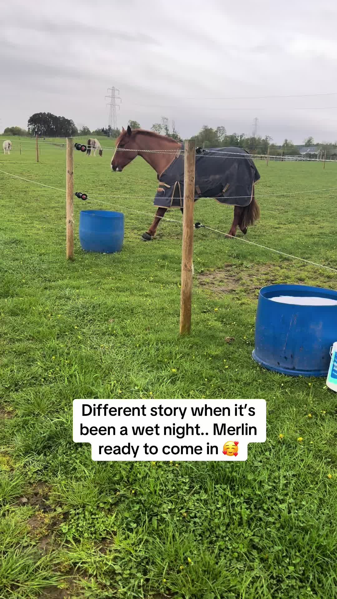 @Claire & Merlin Adventures