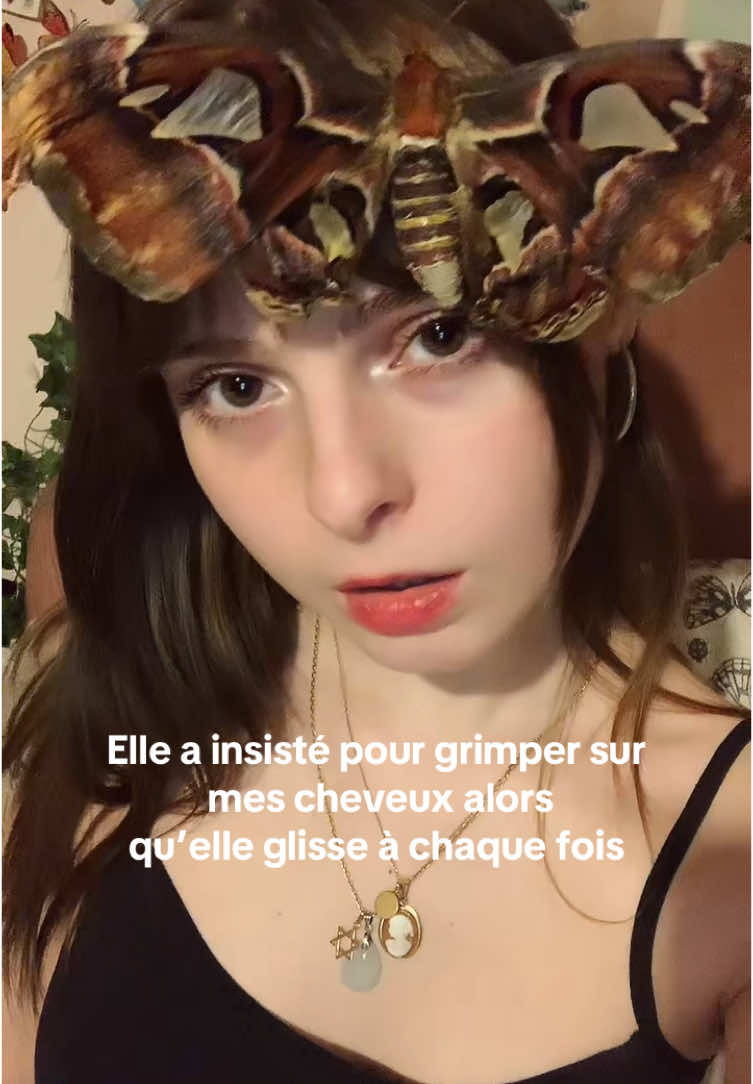 @Am🪲🎀
