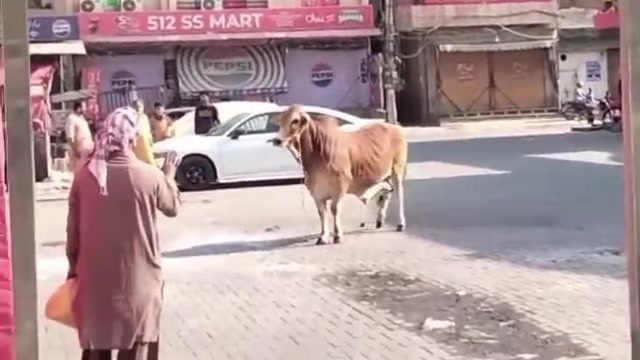 @zubairkhattak006