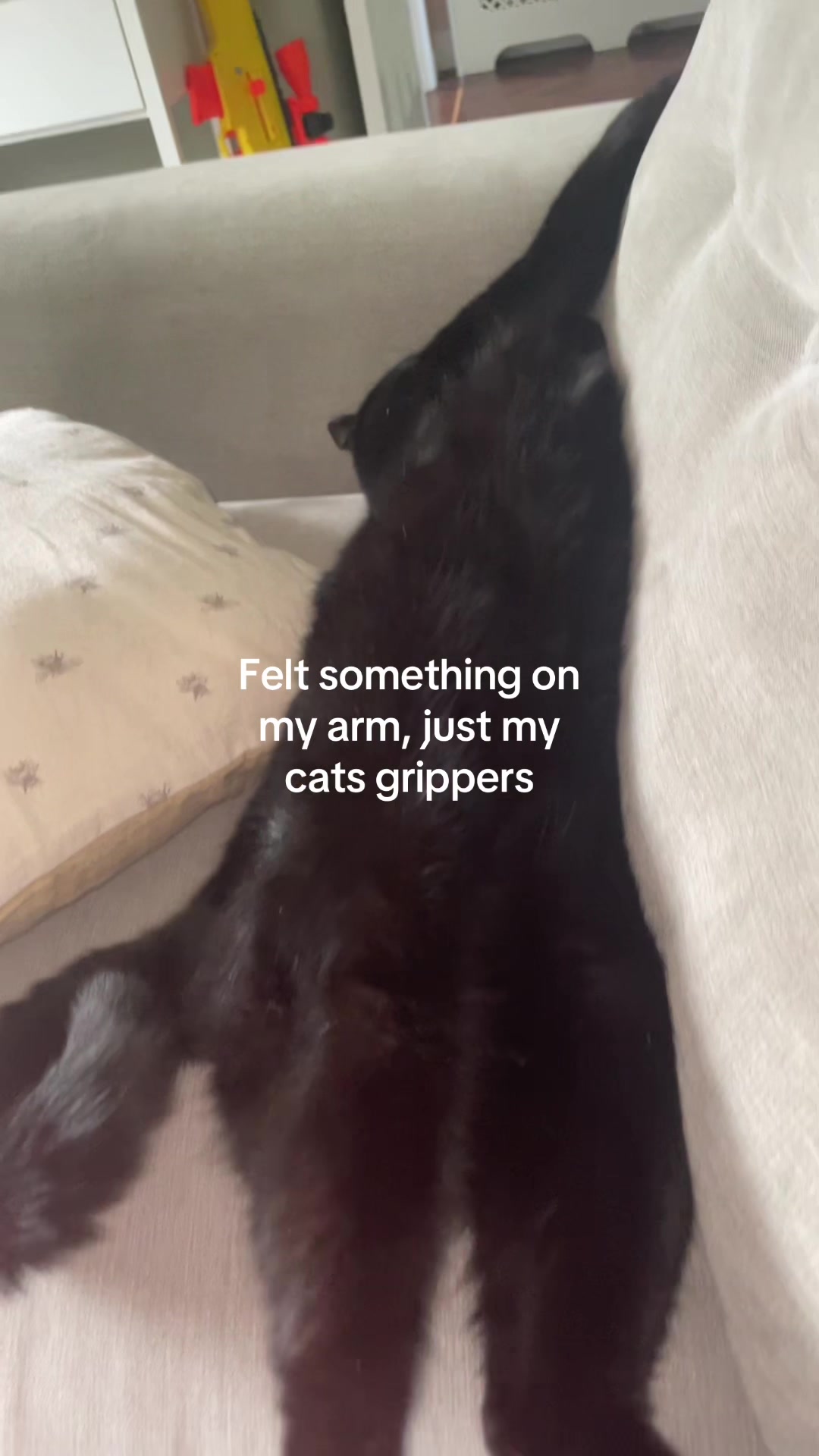 @GirlyPopsical