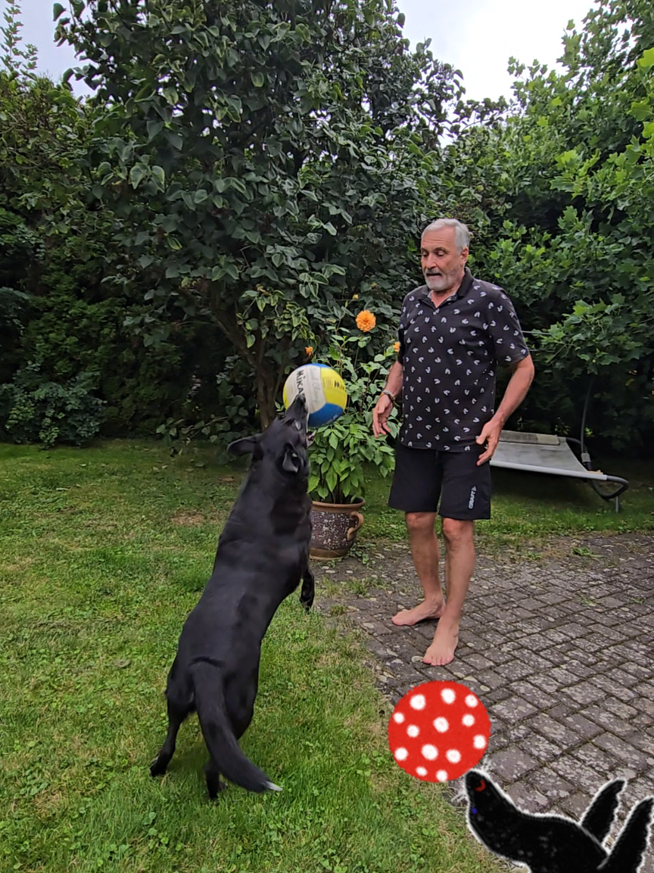 @Jan Čensk&yacute;