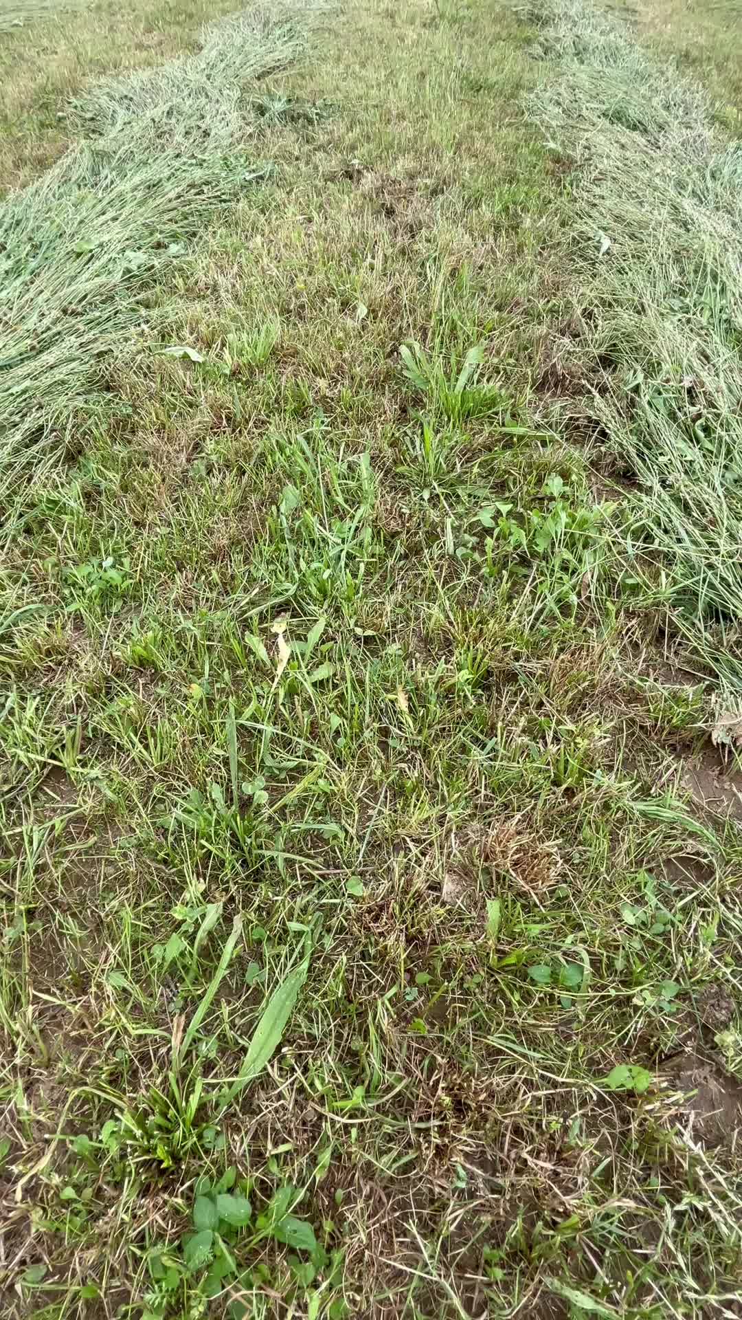 @Farming