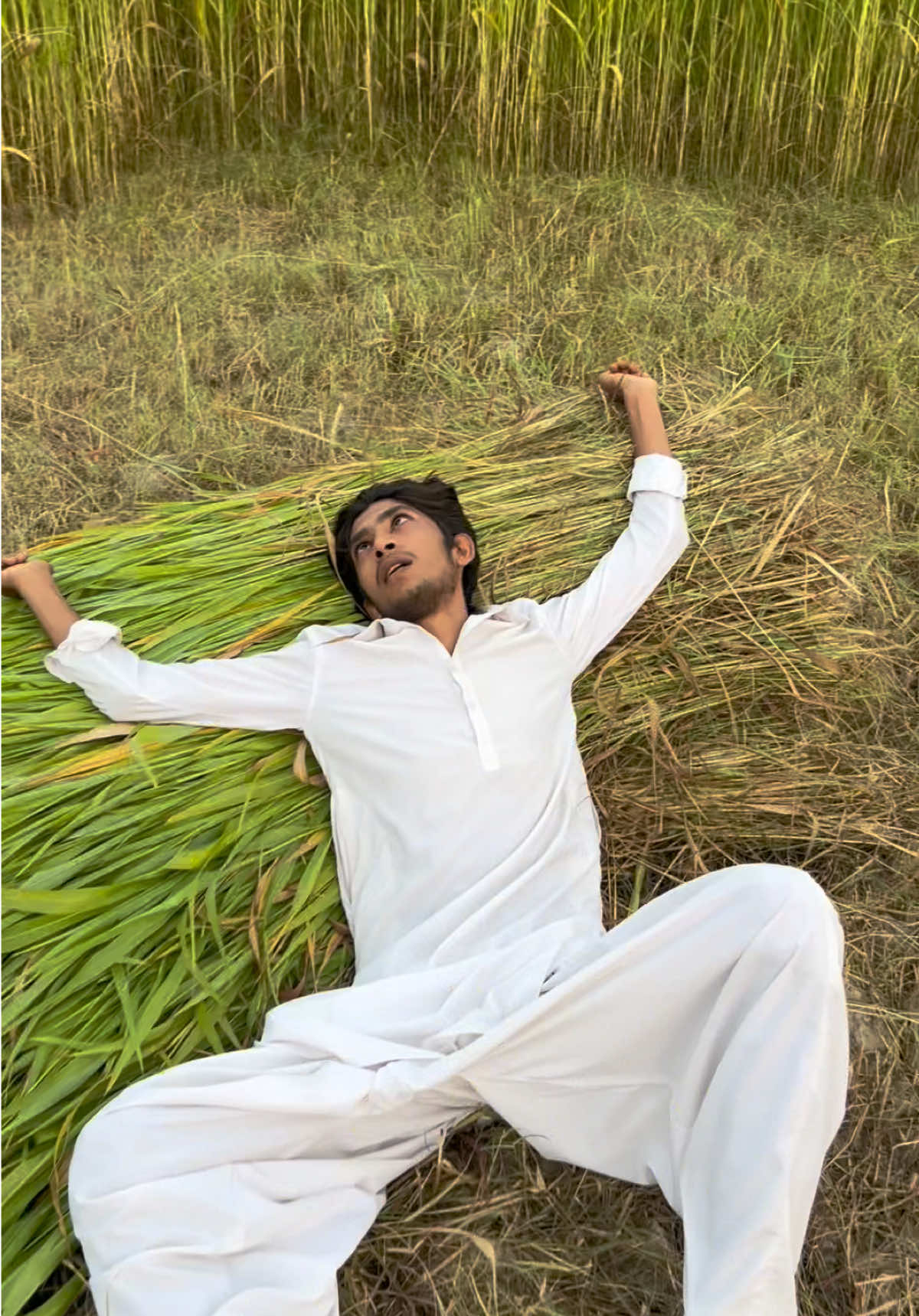 @Mubasher Star