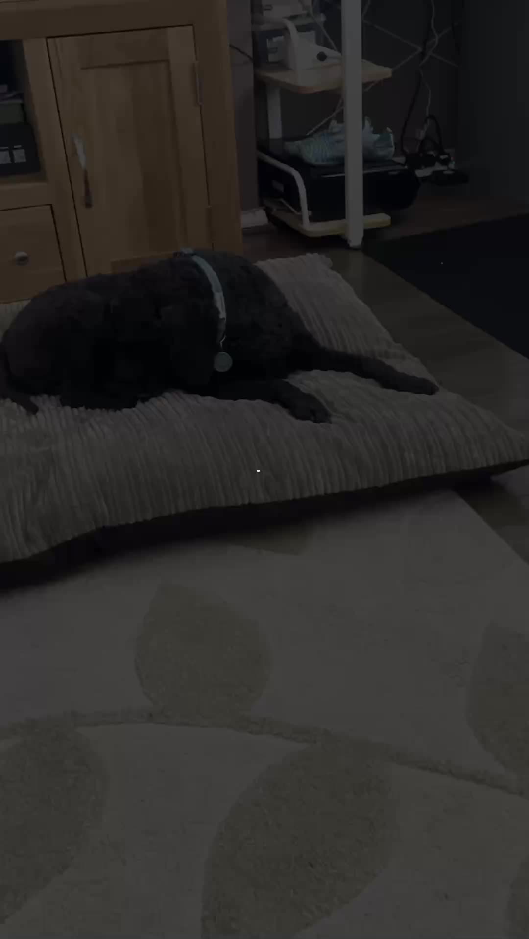 @AuraKing